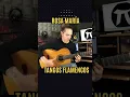 Lagu Rosa María Camarón y Paco de Lucía  #shortvideo #guitarra #shortsviral #guitar