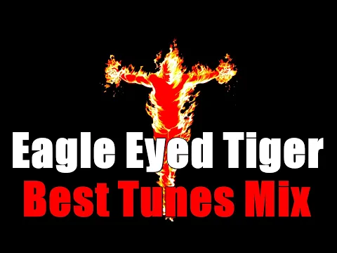 Eagle Eyed Tiger Best Tunes mix by Hight Stuff
