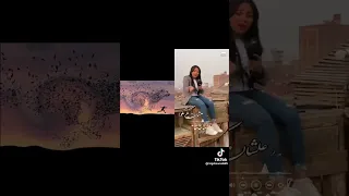 رحاب سليم 