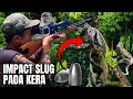 Download Lagu Ngeri‼️Tembakan Bertubi-tubi Segerombolan Kera Nakal Lansung Tekapar❗️Impact Slug Emang Beda