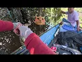 Download Lagu Monster Air Tercyduk! 2 Hari Menajur di Hutan Banjir Kalimantan