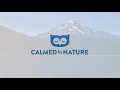 Mountain Lake Ambience | Relaxing Nature Sounds: Birds Singing and Lapping Water with Soothing Wind