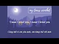 [Vietsub + Lyrics] my tears ricochet - Taylor Swift