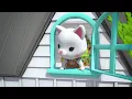 Welcome to Honey Bee Acres