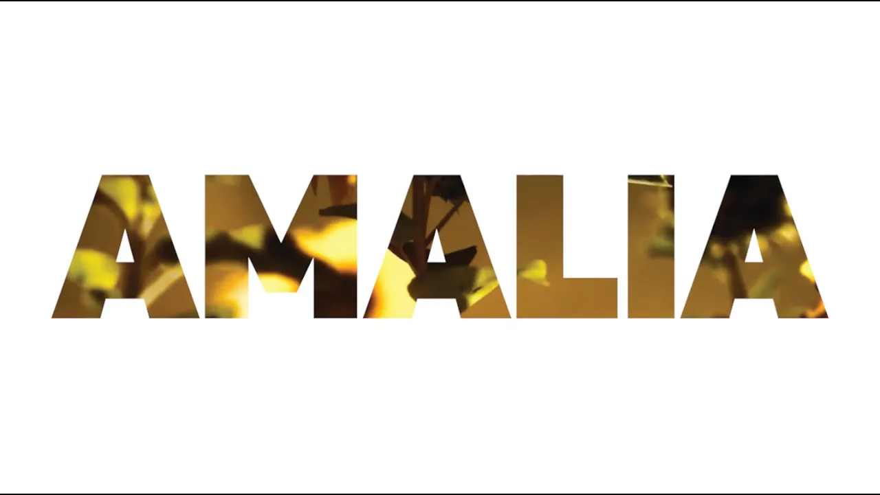 F2DZ - AMALIA (Lyric Video) F2DZ - AMALIA (Lyric Video)