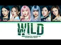Download Lagu BABYMONSTER (베이비몬스터) 'WILD' Lyrics (Color Coded Lyrics)