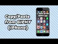 How to use your own custom GIFs on Instagram Stories iPhone GIPHY