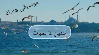 حنين لا يموت موسيقى هادئة ليست مجرد ألحان بل رسائل حب وفصول من رواية لا تنتهي هدوء الطبيعة 