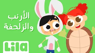 الأرنب والزلحفة     ليلا تي في دندنها