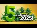 5 Must-Try Exotic Weed Strains of 2025