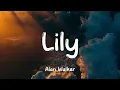 Download Lagu Alan Walker, K-391 \u0026 Emelie Hollow - Lily (Lyrics)