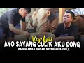 Download Lagu VAYZ LULUK - AYO SAYANG CULIK AKU DONG versi NDX ( OFFICIAL MUSIC VIDEO )