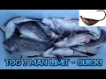 Virginia Beach Tog 3 Man Limit