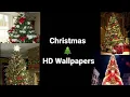 Christmas tree Wallpapers