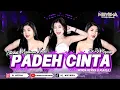 FUNKOT MADURA - PADEH CINTA [ VIRAL TIKTOK NEW VERSION ] BY DJ MEYSHA 2025
