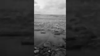حمزه نمره موج الدنيا أناني وعالي وانت لوحدك وانا لسه لي عمر هعيشه معاك لو يوم دندنها