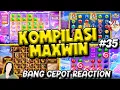 Download Lagu KUMPULAN MAXWIN OLYMPUS TERBESAR HARI INI ☀️ BANG CEPOT REACTION 🚀 KUMPULAN MAXWIN HARI INI