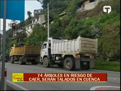74 árboles en riesgo de caer, serán talados en Cuenca