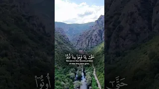 فلما نسوا ما ذكروا به فتحنا عليهم أبواب كل شيء  فلما نسوا ما ذكروا به فتحنا عليهم أبواب كل شيء