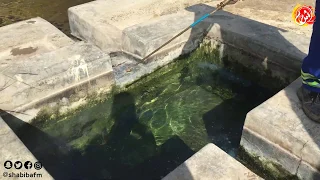 بالفيديو    شاهد كيف يتم القضاء على الزاعجة المصرية في ولاية السيب دندنها