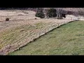 FOR Sale 1186 Cobb Lane - Nicholasville KY 40356