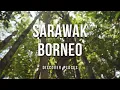 Download Lagu The Sarawak, Borneo Malaysia.