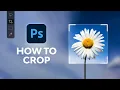 How to Crop in Photoshop