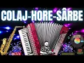 Download Lagu Colaj Hore💥Muzica Populara De Petrecere💥Colaj Sarbe💥Instrumentale Acordeon
