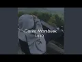 Lagu Carito Mambuek Luko
