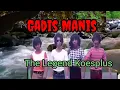 Lagu Gadis Manis, Lagu Koes Plus