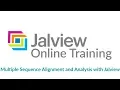 Multiple Sequence Alignment and Analysis with Jalview