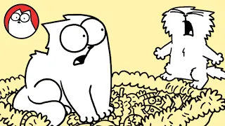 TALE'S END - KITTEN QUEST PT.4 - The final instalment!