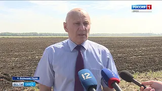 Омские аграрии засеяли яровыми культурами больше половины площадей
