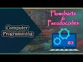 Programming 03 Flow Charts and Pseudo-codes ICT 2023 resourceict
