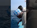 Download Lagu Deep Sea Fishing for Rosy Snapper #fishing #fishingvideo #fishingtime