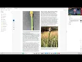 Creating Accessible PDFs with description