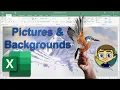 Adding Pictures and Backgrounds into Excel