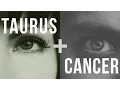 Taurus Cancer Love Compatibility