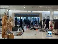 Shocking mob-style smash-and-grab robbery at Nordstrom caught on camera