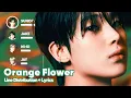 Lagu ENHYPEN - Orange Flower (You Complete Me) (Line Distribution + Lyrics Karaoke) PATREON REQUESTED