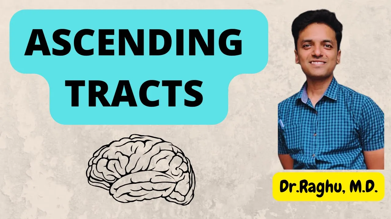 Ascending tracts of spinal cord | Dorsal column | Spinothalamic | Spinocerebellar #physiology