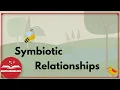 Symbiotic Relationships Mutualism Parasitism Commensalism EasyTeaching