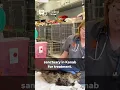 Miracle cat recuperating after surviving fall that killed couple in Bryce Canyon