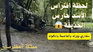                                                                                     دندنها