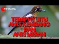 Download Lagu Master teraphy anis kembang \u0026 anis merah