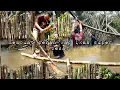Download Lagu Membendung sungai membuat perangkap ikan super kuat dan besar warta petani muda hidup di hutan