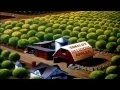 Download Lagu Chip and Dale Donald Duck Cartoon Full Episodes 3 Full movie compilation