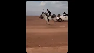 اقوم قومة جمل واطيح طيحت حصان ماشاء الله تبارك الله على الخيل والخيال  اقوم قومة جمل واطيح طيحت حصان ماشاء الله تبارك الله على الخيل والخيال