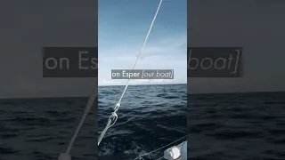 He’s NO GENTLEMAN! #shorts #sailing #sailingFAIL