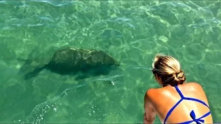 THE DOG ATTACKED THE FISH!!!